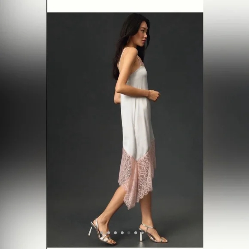 NWT Anthropologie Lace-Trimmed Dress Silver Size 8